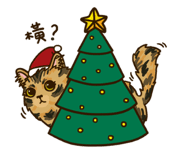 LangLang don't cry - heal your christmas sticker #14074427