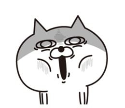 Cat laugh(Overseas edition) sticker #14075671