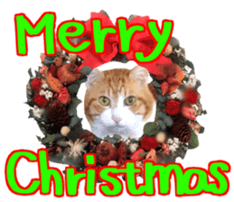 Cat's Christmas sticker #14075950