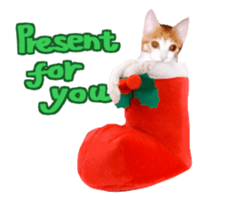 Cat's Christmas sticker #14075952