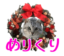 Cat's Christmas sticker #14075954