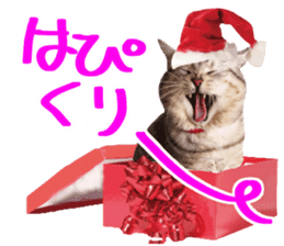 Cat's Christmas sticker #14075955