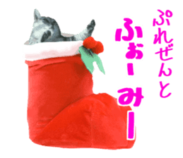 Cat's Christmas sticker #14075956