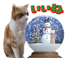 Cat's Christmas sticker #14075958