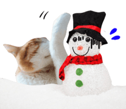 Cat's Christmas sticker #14075961
