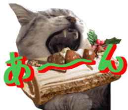 Cat's Christmas sticker #14075964