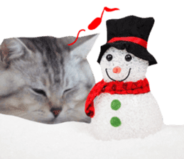 Cat's Christmas sticker #14075965