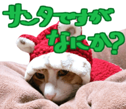 Cat's Christmas sticker #14075968