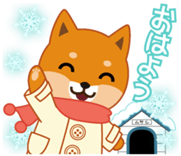 Shiba dog "MUSASHI" 10 winter sticker #14076190