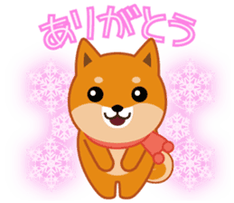 Shiba dog "MUSASHI" 10 winter sticker #14076191