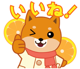 Shiba dog "MUSASHI" 10 winter sticker #14076193