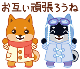 Shiba dog "MUSASHI" 10 winter sticker #14076201