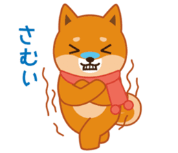 Shiba dog "MUSASHI" 10 winter sticker #14076204