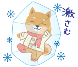 Shiba dog "MUSASHI" 10 winter sticker #14076205
