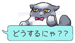 President of Lime Company sticker #14077489