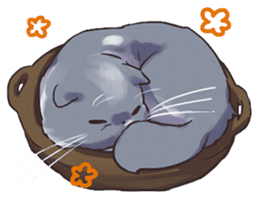 President of Lime Company sticker #14077517