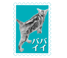 There is always a american short hair2 sticker #14079641