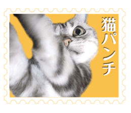 There is always a american short hair2 sticker #14079648