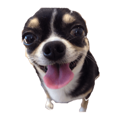 I am Lil. (Happy&New Year's)