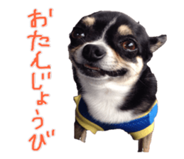 I am Lil. (Happy&New Year's) sticker #14079734