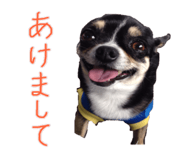 I am Lil. (Happy&New Year's) sticker #14079735