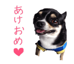 I am Lil. (Happy&New Year's) sticker #14079738