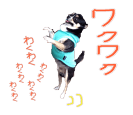 I am Lil. (Happy&New Year's) sticker #14079743