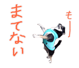 I am Lil. (Happy&New Year's) sticker #14079744