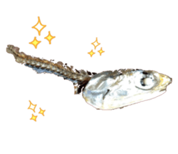 I am Lil. (Happy&New Year's) sticker #14079745