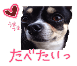 I am Lil. (Happy&New Year's) sticker #14079747