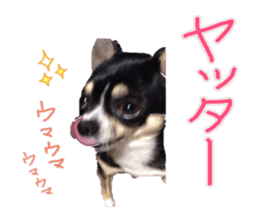 I am Lil. (Happy&New Year's) sticker #14079749