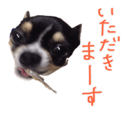 I am Lil. (Happy&New Year's) sticker #14079752