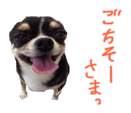 I am Lil. (Happy&New Year's) sticker #14079753