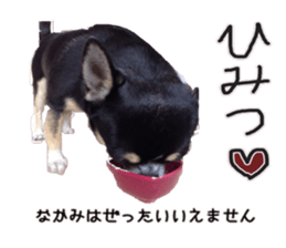 I am Lil. (Happy&New Year's) sticker #14079754