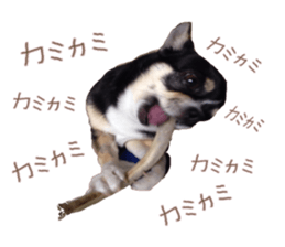 I am Lil. (Happy&New Year's) sticker #14079756