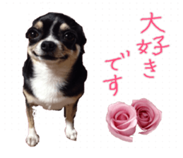 I am Lil. (Happy&New Year's) sticker #14079757