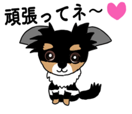 SIZUKU's Chihuahuas sticker #14079847