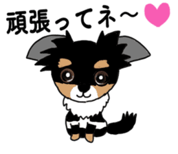 SIZUKU's Chihuahuas sticker #14079847