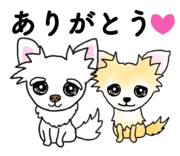 SIZUKU's Chihuahuas sticker #14079850