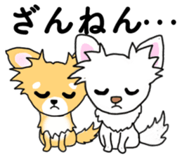 SIZUKU's Chihuahuas sticker #14079851