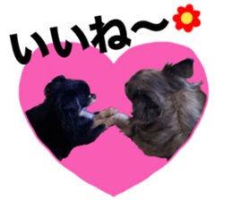 SIZUKU's Chihuahuas sticker #14079862