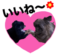 SIZUKU's Chihuahuas sticker #14079862