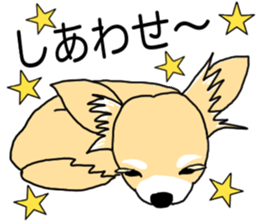 SIZUKU's Chihuahuas sticker #14079870