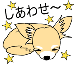 SIZUKU's Chihuahuas sticker #14079870