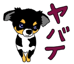 SIZUKU's Chihuahuas sticker #14079876