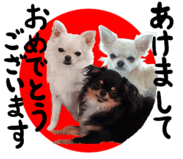 SIZUKU's Chihuahuas sticker #14079879