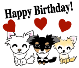 SIZUKU's Chihuahuas sticker #14079883