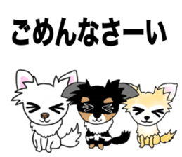 SIZUKU's Chihuahuas sticker #14079884
