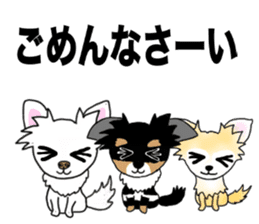 SIZUKU's Chihuahuas sticker #14079884
