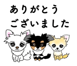 SIZUKU's Chihuahuas sticker #14079885